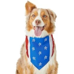 Frisco Stars & Stripes Dog & Cat Bandana -Pawfect Care 249329 PT2. AC SS1800 V1632418569