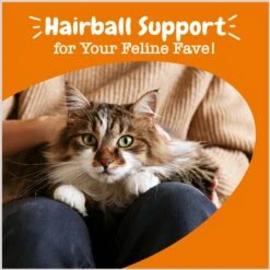 Zesty Paws Hairball Bites Bacon Flavored Soft Chews Digestive Supplement For Cats -Pawfect Care 249423 PT4. AC SS1800 V1696441927