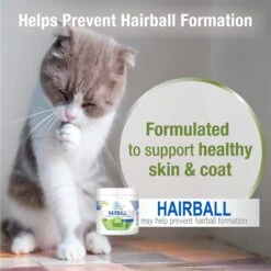 Four Paws Healthy Promise Soft Chews Hairball Control Cat Supplement, 90 Count -Pawfect Care 249512 PT3. AC SS1800 V1597938095