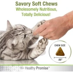Four Paws Healthy Promise Soft Chews Hairball Control Cat Supplement, 90 Count -Pawfect Care 249512 PT6. AC SS1800 V1597939861