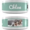 Frisco Playful Kitty Ceramic Personalized Cat Bowl, 1-cup, 8oz -Pawfect Care 250841 MAIN. AC SS1800 V1602625886