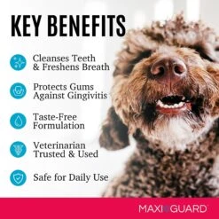MAXI/GUARD Pet Dental Wipes -Pawfect Care 251381 PT4. AC SS1800 V1602540706