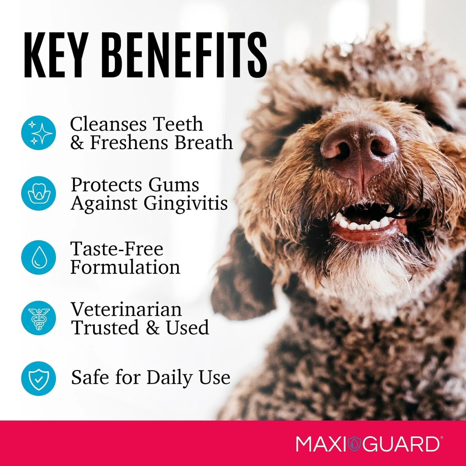 MAXI/GUARD OraZn Cat, Dog & Small Pet Dental Gel 6 MAXI/GUARD OraZn Cat, Dog & Small Pet Dental Gel - Image 4