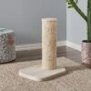 Two By Two City Cat Deluxe European 24-in Faux-Fur Cat Scratching Post -Pawfect Care 251759 MAIN. AC SS1800 V1600296376