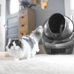 Litter-Robot 3 WiFi Enabled Automatic Self-Cleaning Cat Litter Box -Pawfect Care 251802 PT8. AC SS1800 V1617988915