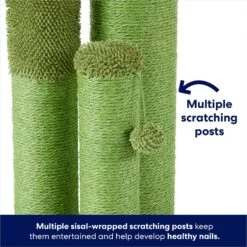 Frisco Cactus Cat Scratching Post -Pawfect Care 252548 PT2. AC SS1800 V1667229384