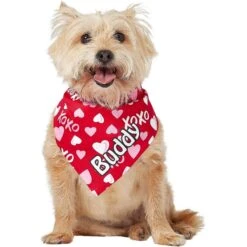 Frisco XOXO Hearts Personalized Dog & Cat Bandana -Pawfect Care 254203 PT6. AC SS1800 V1632427913
