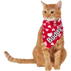 Frisco XOXO Hearts Personalized Dog & Cat Bandana -Pawfect Care 254203 PT7. AC SS1800 V1632417974