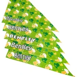 Frisco Green Ale Personalized Dog & Cat Bandana -Pawfect Care 254207 PT4. AC SS1800 V1618511566