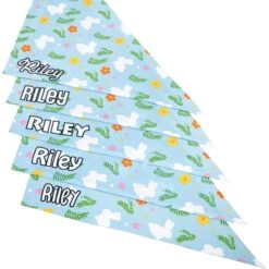 Frisco Easter Bunny Personalized Dog & Cat Bandana -Pawfect Care 254211 PT4. AC SS1800 V1618511521