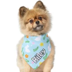 Frisco Easter Bunny Personalized Dog & Cat Bandana -Pawfect Care 254211 PT6. AC SS1800 V1618509425