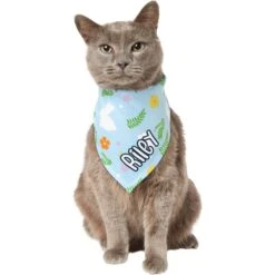 Frisco Easter Bunny Personalized Dog & Cat Bandana -Pawfect Care 254211 PT7. AC SS1800 V1618510982