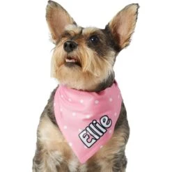 Frisco Polka Dot Personalized Dog & Cat Bandana -Pawfect Care 254223 PT6. AC SS1800 V1696432728