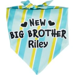 Frisco Big Brother Personalized Dog & Cat Bandana -Pawfect Care 254231 PT2. AC SS1800 V1633062098