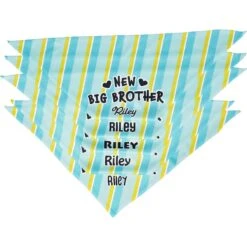 Frisco Big Brother Personalized Dog & Cat Bandana -Pawfect Care 254231 PT4. AC SS1800 V1633065997