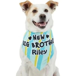 Frisco Big Brother Personalized Dog & Cat Bandana -Pawfect Care 254231 PT6. AC SS1800 V1633071398