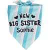 Frisco Big Sister Personalized Dog & Cat Bandana -Pawfect Care 254235 MAIN. AC SS1800 V1619559736