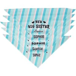 Frisco Big Sister Personalized Dog & Cat Bandana -Pawfect Care 254235 PT4. AC SS1800 V1619558530
