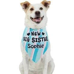 Frisco Big Sister Personalized Dog & Cat Bandana -Pawfect Care 254235 PT6. AC SS1800 V1619558258