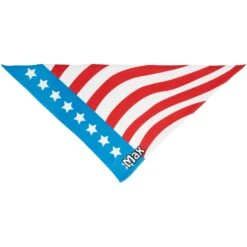 Frisco Americana Personalized Dog & Cat Bandana -Pawfect Care 254239 PT3. AC SS1800 V1619559514