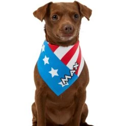 Frisco Americana Personalized Dog & Cat Bandana -Pawfect Care 254239 PT6. AC SS1800 V1619558231