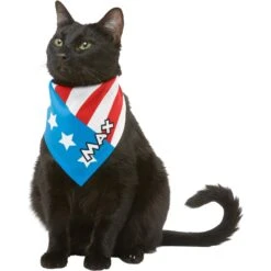 Frisco Americana Personalized Dog & Cat Bandana -Pawfect Care 254239 PT7. AC SS1800 V1619559761