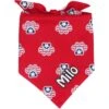 Frisco Patriotic Paws Personalized Dog & Cat Bandana -Pawfect Care 254243 MAIN. AC SS1800 V1619560378