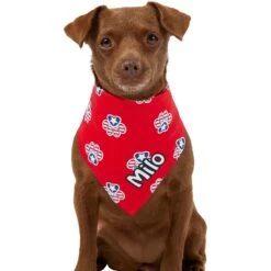 Frisco Patriotic Paws Personalized Dog & Cat Bandana -Pawfect Care 254243 PT6. AC SS1800 V1619557657