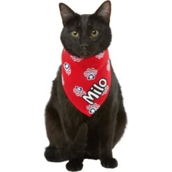 Frisco Patriotic Paws Personalized Dog & Cat Bandana -Pawfect Care 254243 PT7. AC SS1800 V1619559130