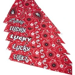 Frisco Paisley Printed Personalized Dog & Cat Bandana -Pawfect Care 254247 PT4. AC SS1800 V1618511570