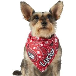 Frisco Paisley Printed Personalized Dog & Cat Bandana -Pawfect Care 254247 PT6. AC SS1800 V1618507975