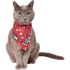 Frisco Paisley Printed Personalized Dog & Cat Bandana -Pawfect Care 254247 PT7. AC SS1800 V1618508211