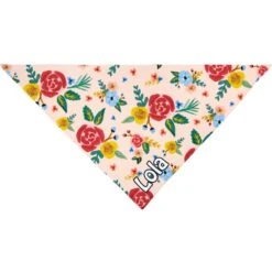 Frisco Floral Personalized Dog & Cat Bandana -Pawfect Care 254255 PT3. AC SS1800 V1618511861