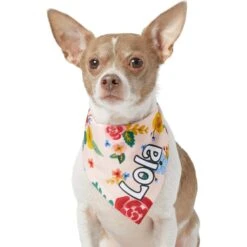 Frisco Floral Personalized Dog & Cat Bandana -Pawfect Care 254255 PT6. AC SS1800 V1618507356