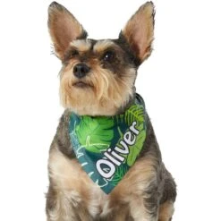 Frisco Tropical Palms Personalized Dog & Cat Bandana -Pawfect Care 254259 PT6. AC SS1800 V1632425201