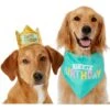 Frisco Happy Birthday Dog & Cat Crown & Frisco Dog & Cat Birthday Bandana -Pawfect Care 255523 MAIN. AC SS1800 V1603716093
