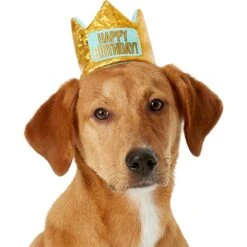 Frisco Happy Birthday Dog & Cat Crown & Frisco Dog & Cat Birthday Bandana -Pawfect Care 255523 PT1. AC SS1800 V1603716100