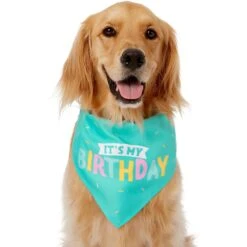 Frisco Happy Birthday Dog & Cat Crown & Frisco Dog & Cat Birthday Bandana -Pawfect Care 255523 PT3. AC SS1800 V1603716114