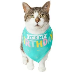 Frisco Happy Birthday Dog & Cat Crown & Frisco Dog & Cat Birthday Bandana -Pawfect Care 255523 PT4. AC SS1800 V1603716120