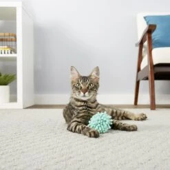 Frisco Moppy Ball Cat Toy With Catnip & Frisco Moppy Ball Cat Toy With Catnip -Pawfect Care 255585 PT2. AC SS1800 V1602691604