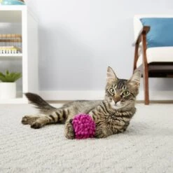 Frisco Moppy Ball Cat Toy With Catnip & Frisco Moppy Ball Cat Toy With Catnip -Pawfect Care 255585 PT4. AC SS1800 V1602691598