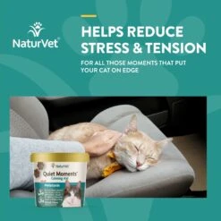 NaturVet Quiet Moments Soft Chews Calming Supplement For Cats & NaturVet Digestive Enzymes Plus Probiotic Soft Chews Digestive Supplement For Cats -Pawfect Care 255713 PT1. AC SS1800 V1676411158