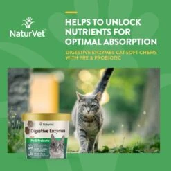 NaturVet Quiet Moments Soft Chews Calming Supplement For Cats & NaturVet Digestive Enzymes Plus Probiotic Soft Chews Digestive Supplement For Cats -Pawfect Care 255713 PT5. AC SS1800 V1676411160
