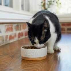 Frisco Round Meow Non-skid Ceramic Cat Bowl With Wood Base -Pawfect Care 256078 PT2. AC SS1800 V1615313612