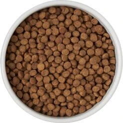 Frisco Round Meow Non-skid Ceramic Cat Bowl With Wood Base -Pawfect Care 256078 PT5. AC SS1800 V1615312018