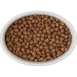 Frisco Oval Meow Non-skid Ceramic Cat Bowl With Wood Base -Pawfect Care 256080 PT5. AC SS1800 V1615312016