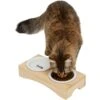 Frisco Double Elevated Cat Bowl With Wood Stand -Pawfect Care 256082 MAIN. AC SS1800 V1616509034