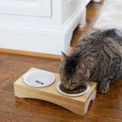 Frisco Double Elevated Cat Bowl With Wood Stand -Pawfect Care 256082 PT2. AC SS1800 V1615312650
