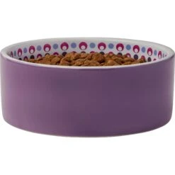 Frisco Kaleidoscope Pattern Non-skid Ceramic Dog & Cat Bowl -Pawfect Care 256090 PT3. AC SS1800 V1615311698