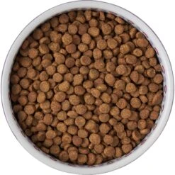 Frisco Kaleidoscope Pattern Non-skid Ceramic Dog & Cat Bowl -Pawfect Care 256090 PT5. AC SS1800 V1615312887